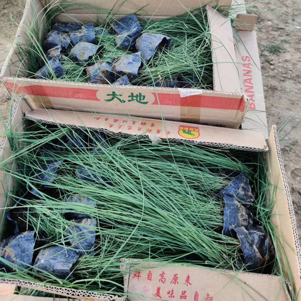  粉黛乱子草小苗培育 粉黛乱子草花海基地 粉黛乱子草报价