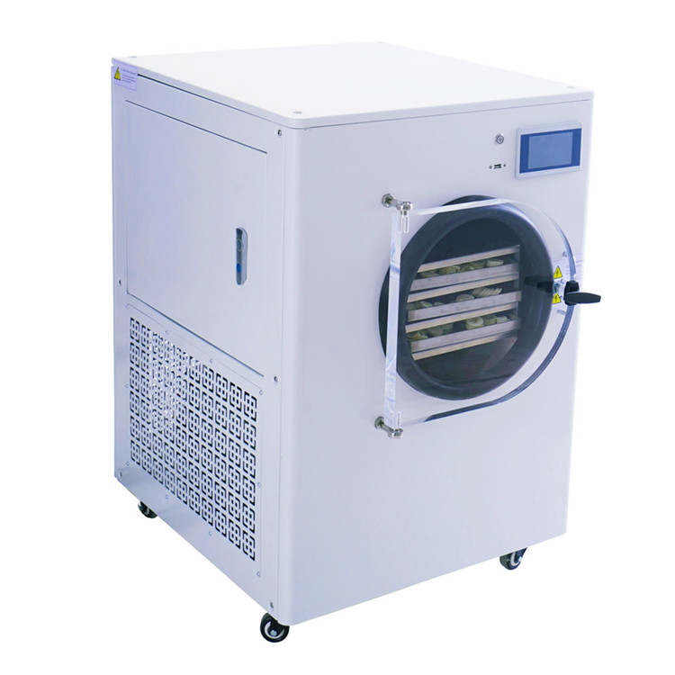 低温冷冻干燥机 冷冻干燥机厂家 芒果冻干机 温度可调 可控生产工艺