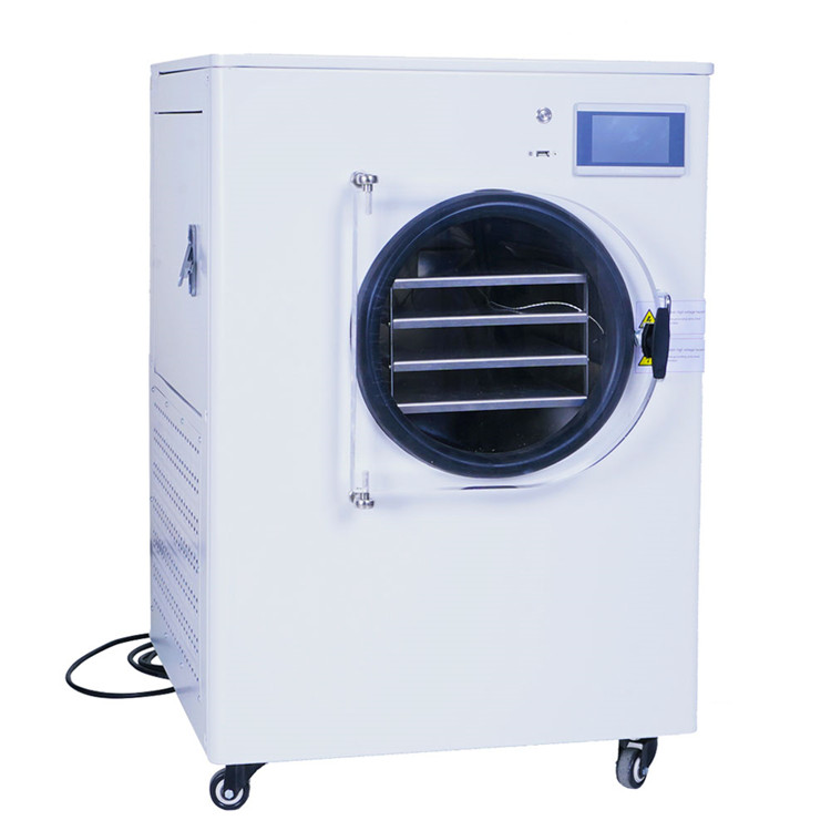 低温真空冷冻干燥机 冷冻干燥机厂家 芒果冻干机 现货供应 品质保障