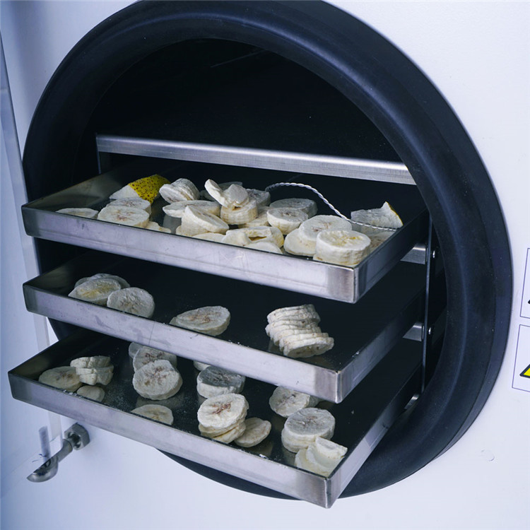草莓冻干机 冷冻干燥机价格 柠檬冻干机 温度可调 可控生产工艺
