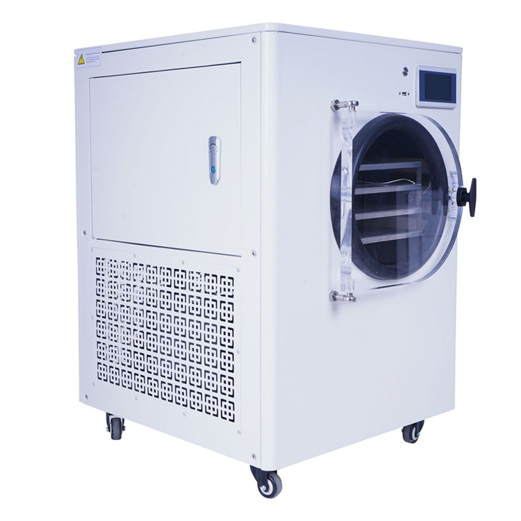 小型水果冻干机 冷冻干燥机价格 柠檬冻干机 温度可调 可控生产工艺