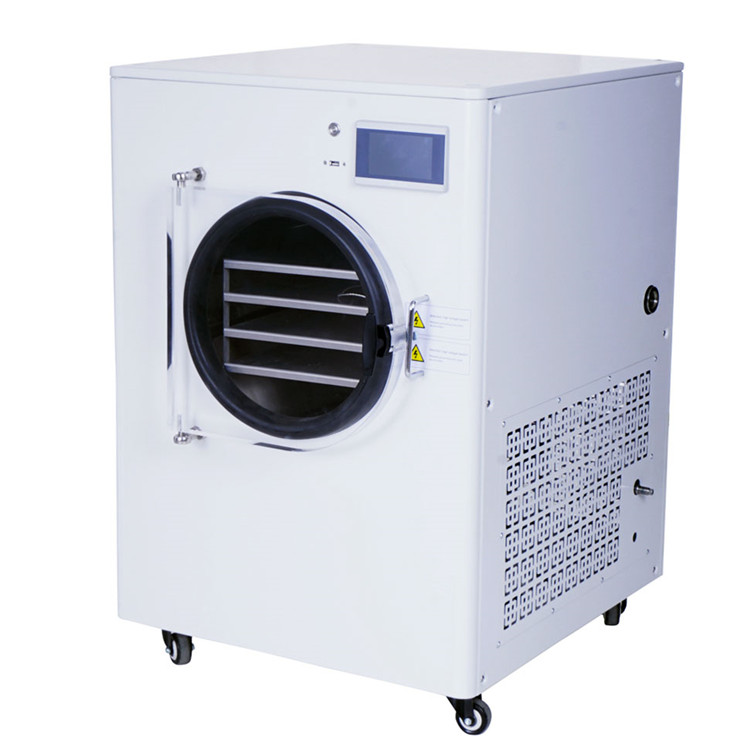 低温冷冻干燥机 冷冻干燥机厂家 芒果冻干机 温度可调 可控生产工艺