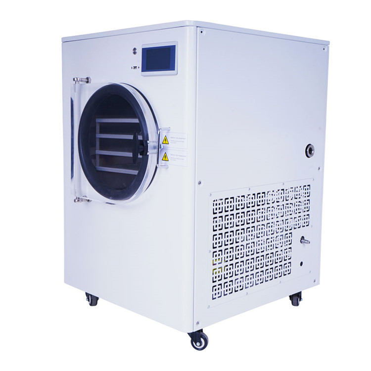 低温冷冻干燥机 桑葚冻干机 枸杞冻干机 现货供应 品质保障