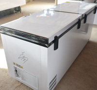 商用卧式冰柜 冷冻冷藏冰柜 大容量冷柜 双门卧式冷柜龙飞