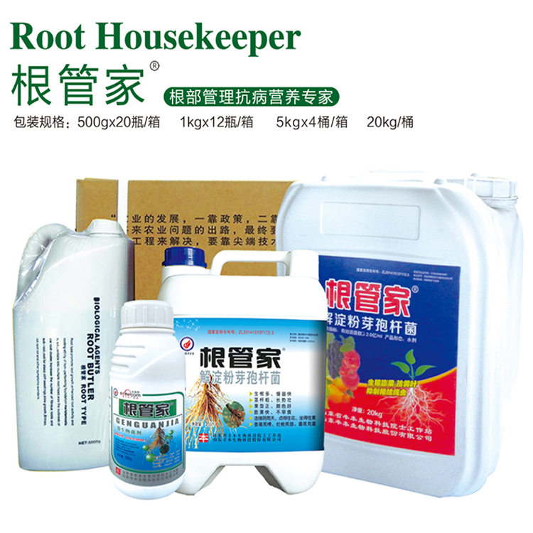 厂家直销根管家 欢迎咨询 丰本根管家