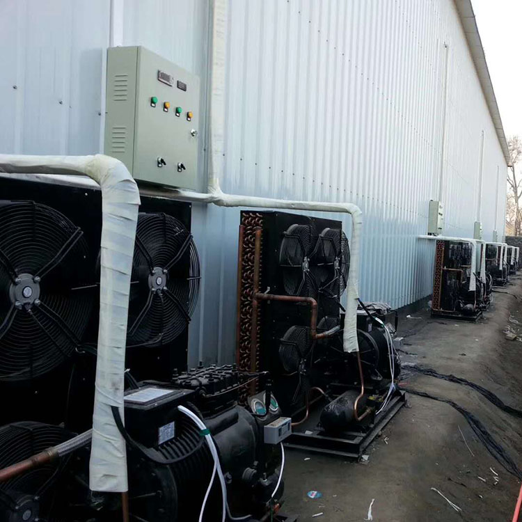 肉类冷冻库 冷库定制工程 低噪音 进口零件