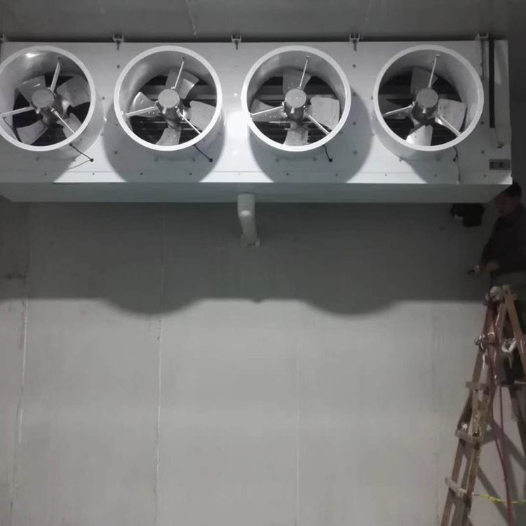 冷库安装公司 医药冷库 粉条冷库 冷库安装