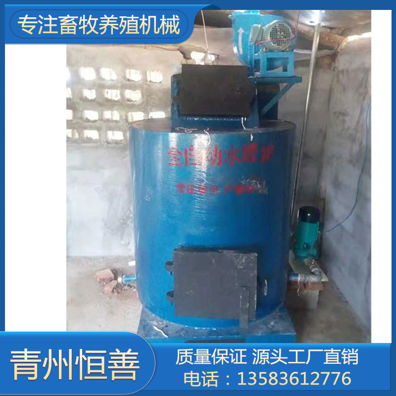养殖供暖锅炉 水暖锅炉生产厂家 青州恒善