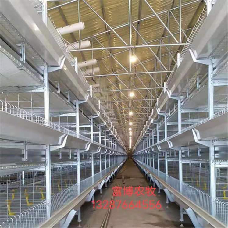 富博供应鸡笼 热镀锌鸡笼 肉鸡笼  自动喂料清粪鸡笼 框架鸡笼