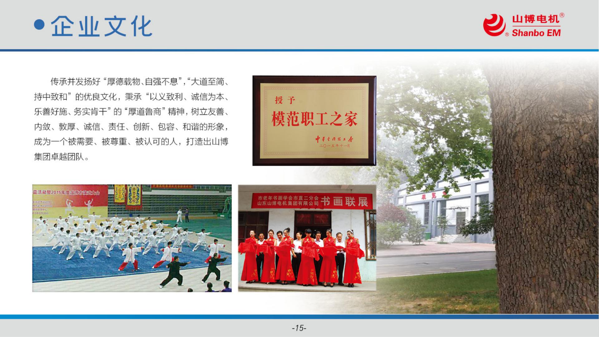 山东山博电机集团有限公司 实景 3