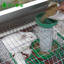 欧式兔笼 双层兔笼 商品兔笼 四方新域厂家直销供应 支持定制