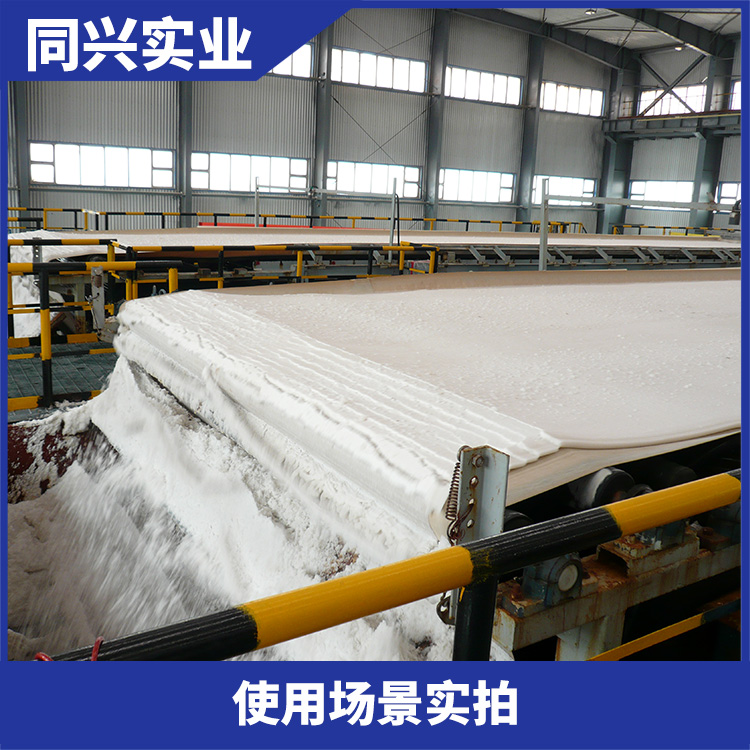 同兴实业 带式过滤机 过滤快 外形尺寸可定制  厂家直销