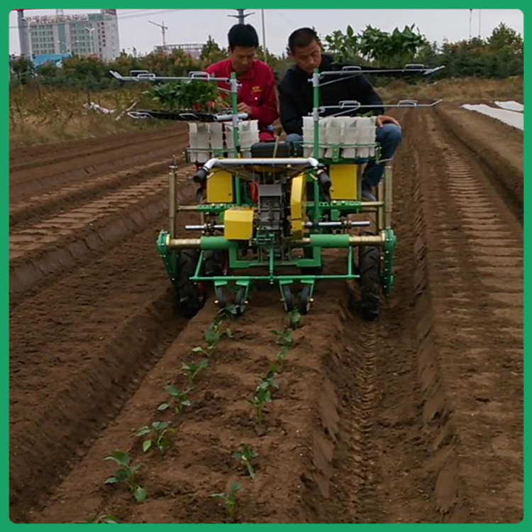 甜菜移栽机 华龙移栽机 青州移栽机厂家 价格合理