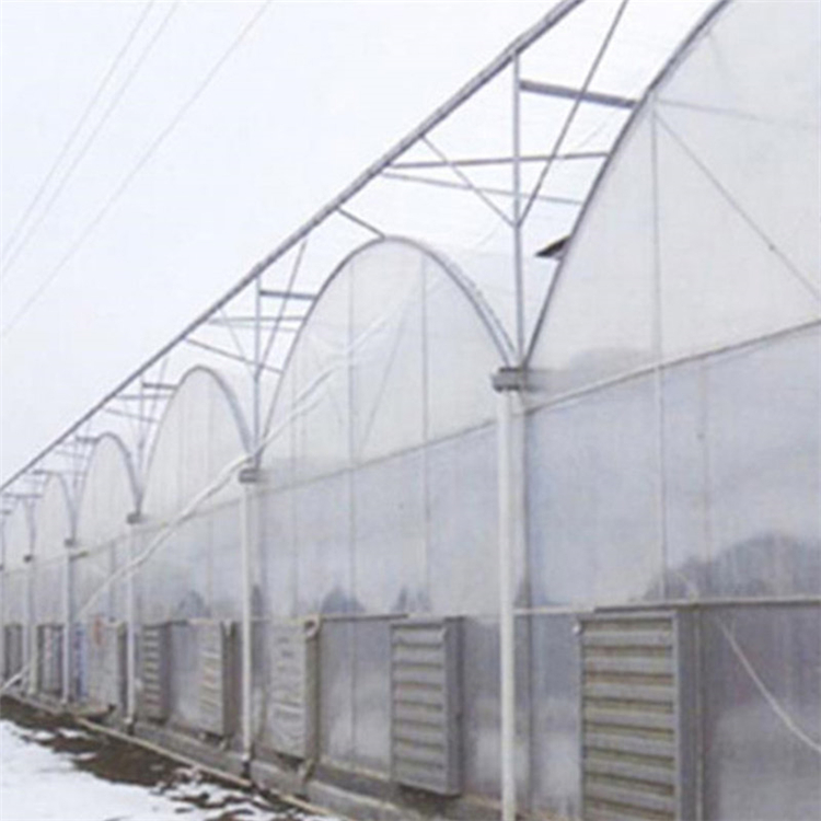 薄膜连栋温室建设商 所用材料保真 山东连栋薄膜温室