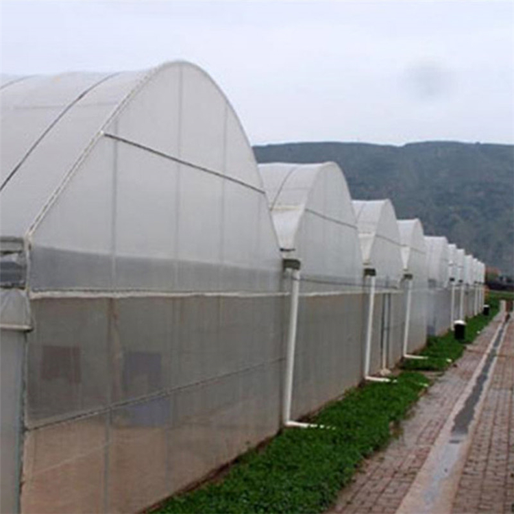 薄膜连栋蔬菜大棚 山东承建薄膜连栋温室