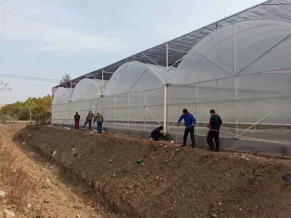 玻璃温室  青岛玻璃温室  玻璃温室温室大棚造价明细玻璃温室骨架