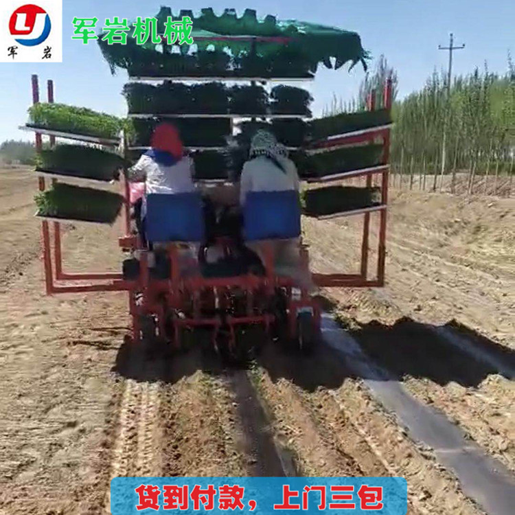 叶菜移栽机 军岩移栽机 移栽机厂家 售后贴心