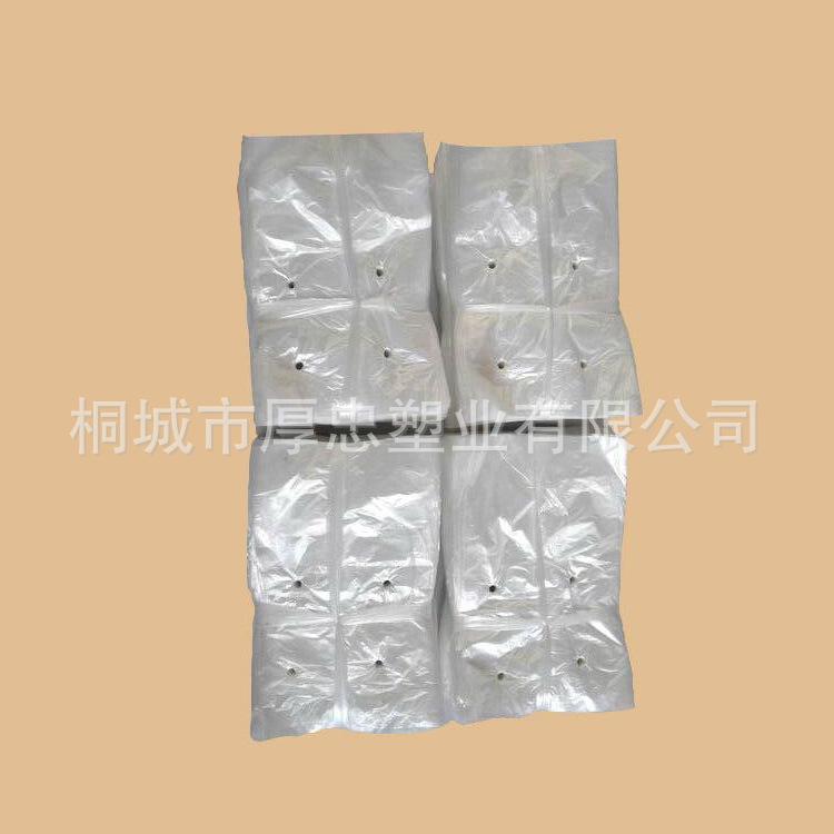 育苗袋营养袋  安徽果蔬塑料薄膜