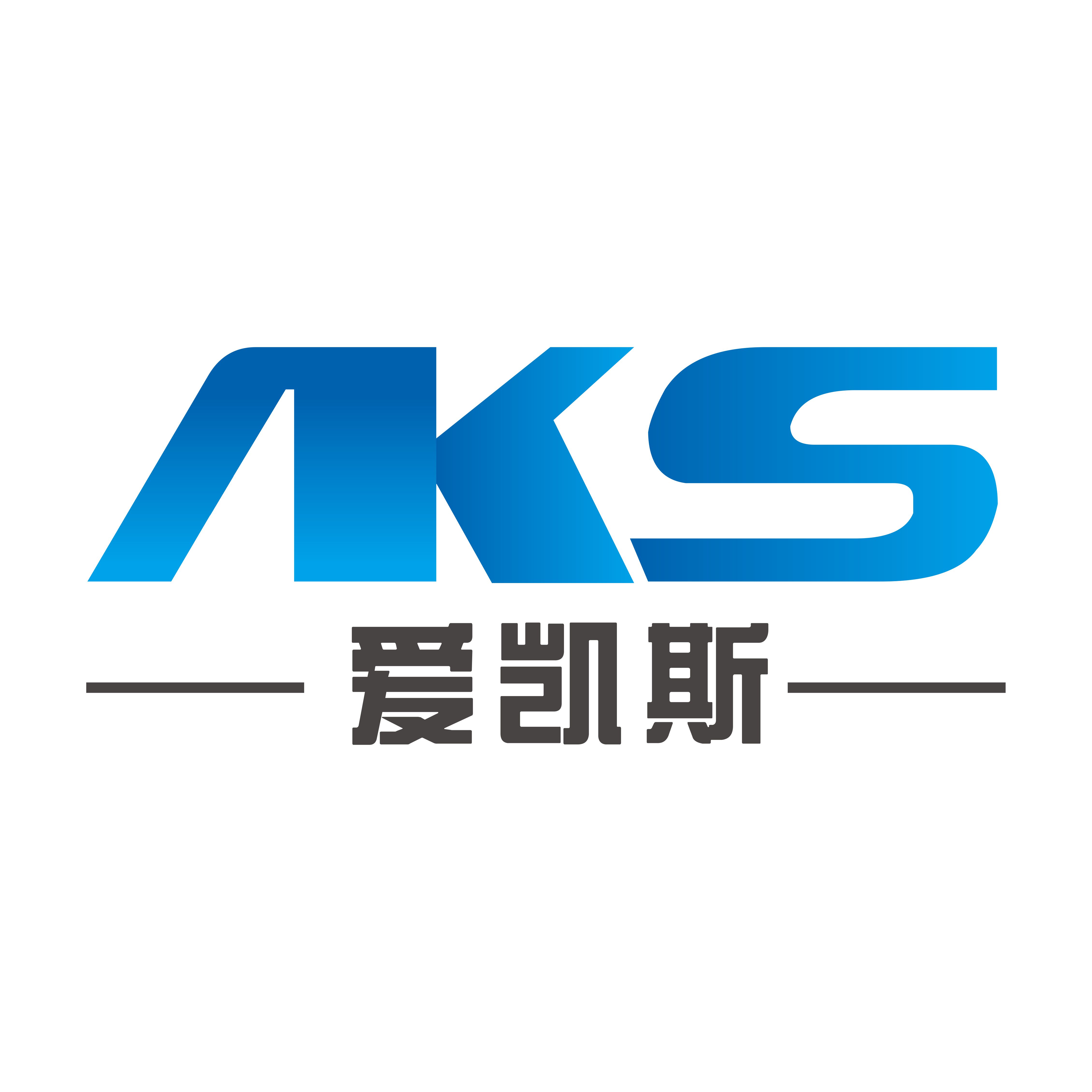 温州爱凯斯阀业有限公司 标志