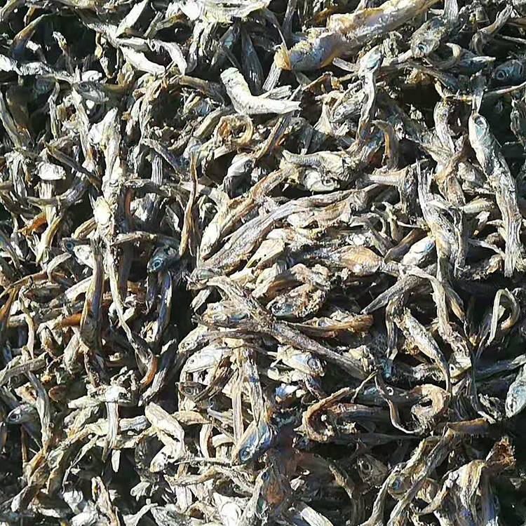现货供应 动物饲料鱼干 鱼干脱脂鱼干 脱脂鱼干 欢迎来电