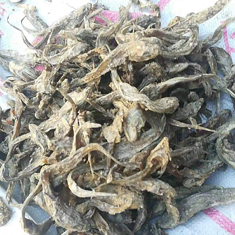 河北发货 动物饲料鱼干 家禽动物饲料用鱼干 脱脂鱼干 价格优惠