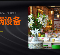 六<em>安</em>自助小火锅设备新翰生寿司传送带
