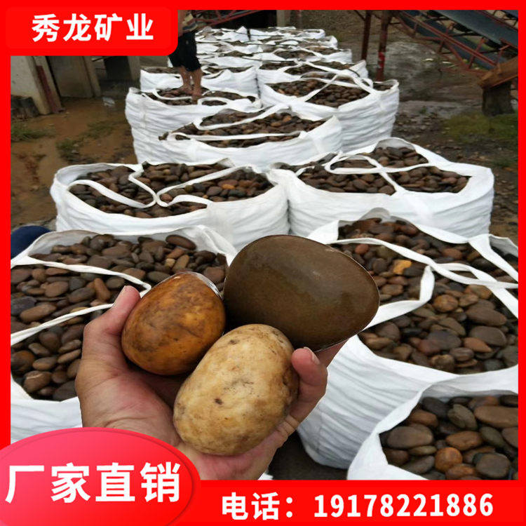 鹅卵石 园林景观铺路造景专用