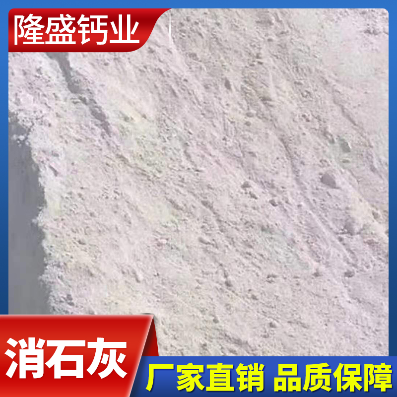 隆盛钙业 消石灰 消石灰生产