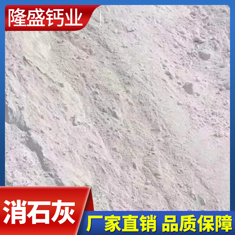 隆盛钙业 消石灰 消石灰价格