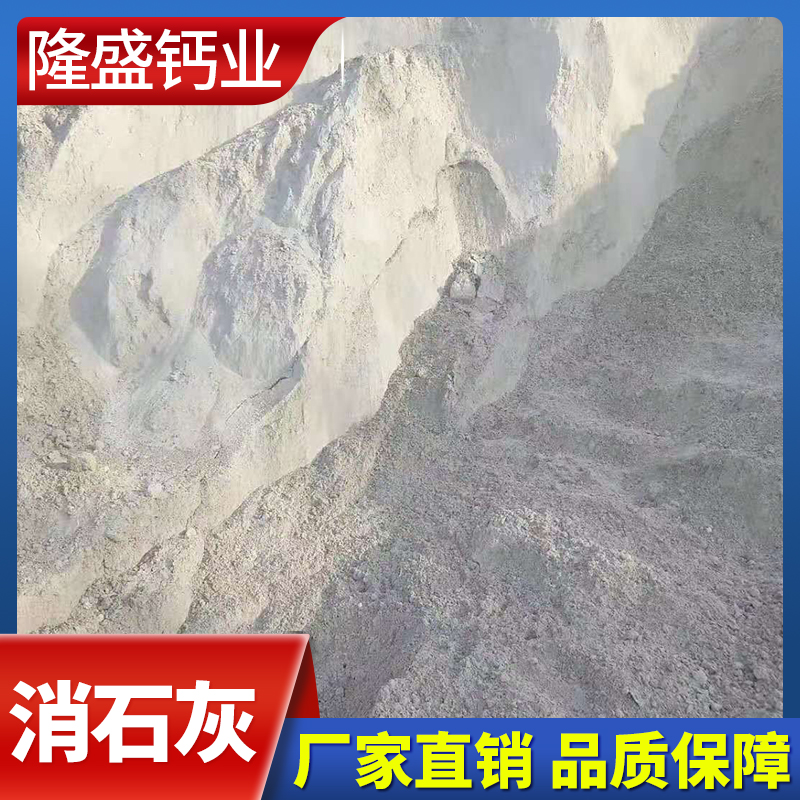 隆盛钙业 消石灰 消石灰厂家