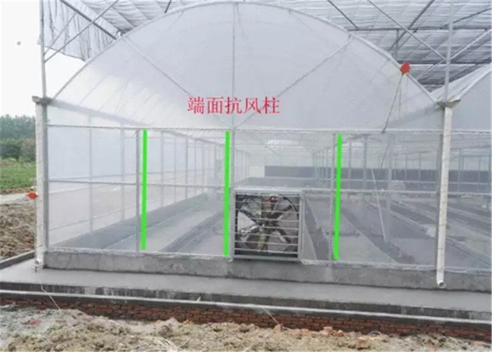 温室工程  青海温室工程  温室工程温室生态餐厅温室生态餐厅建设