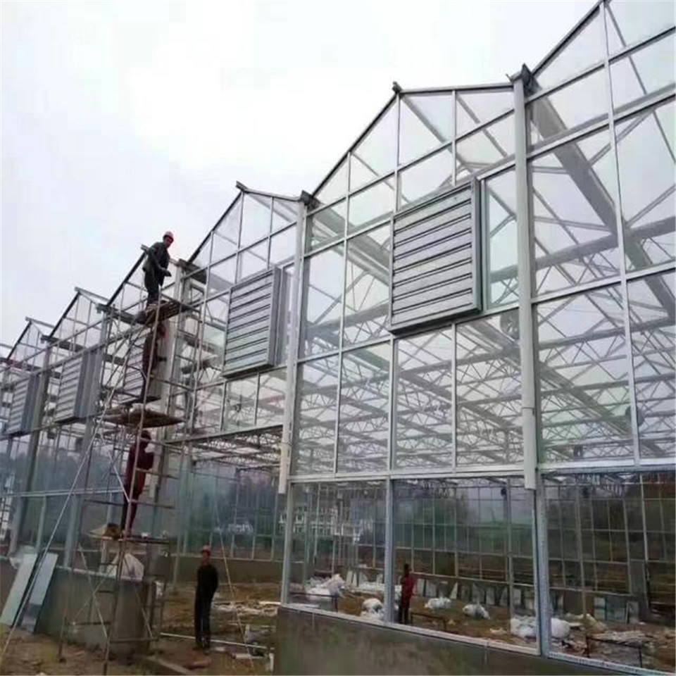 温室大棚  内蒙温室大棚  温室大棚温室大棚造价玻璃温室大棚施工方案