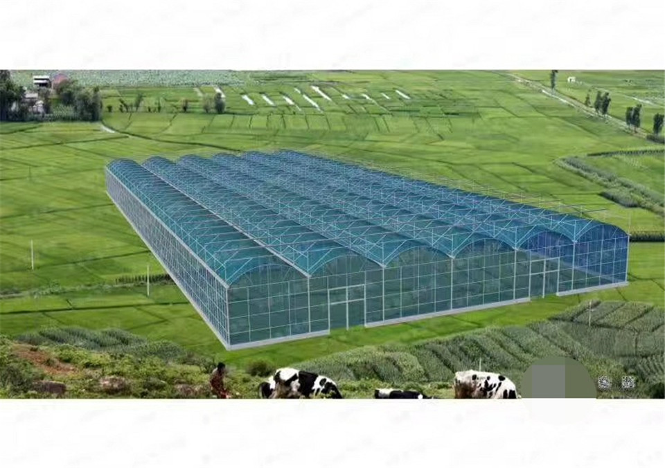 温室工程  青海温室工程  温室工程温室大棚温室工程厂家