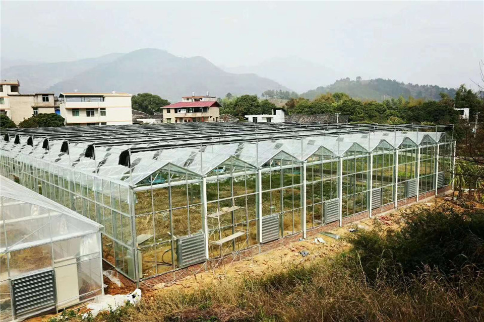 温室工程  江苏温室工程  温室工程玻璃温室大棚玻璃温室大棚施工方案