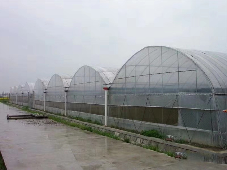 温室大棚  甘肃温室大棚  温室大棚智能温室大棚温室工程公司