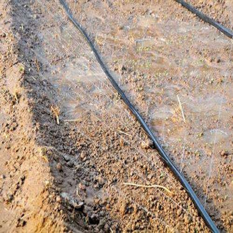 春雨喷灌带 欢迎询价 喷灌带供货商 山东喷灌带厂家