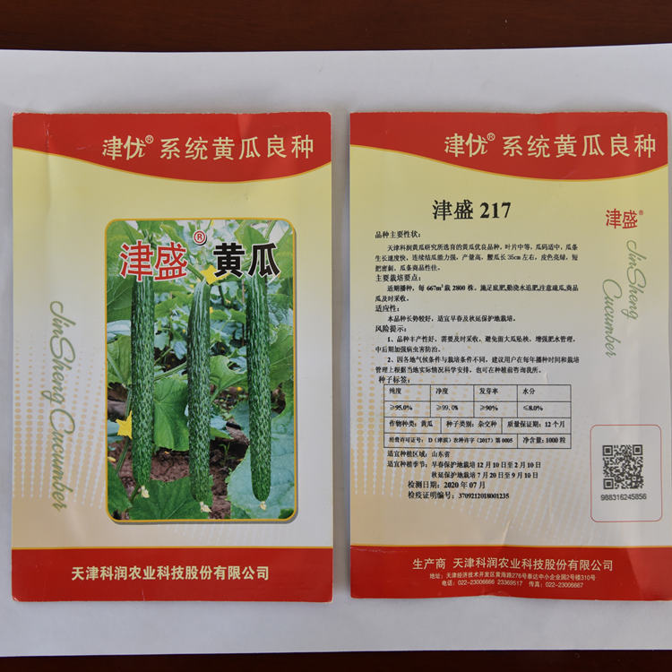 长期销售抗死棵黄瓜种苗 长势好 价格实惠黄瓜种子 量大从优