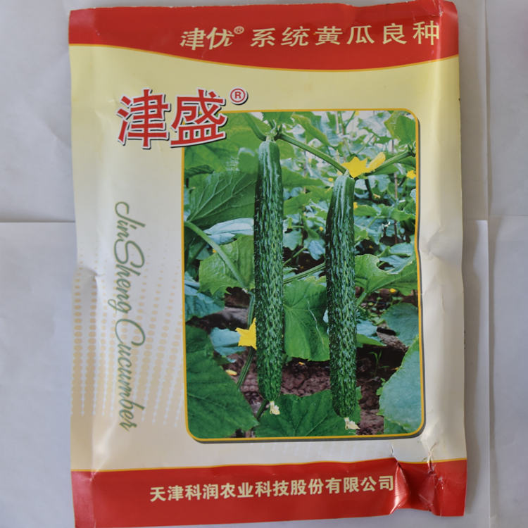 常年出售黄瓜种子 抗死棵 抗褪绿 长势好黄瓜种子 批发销售