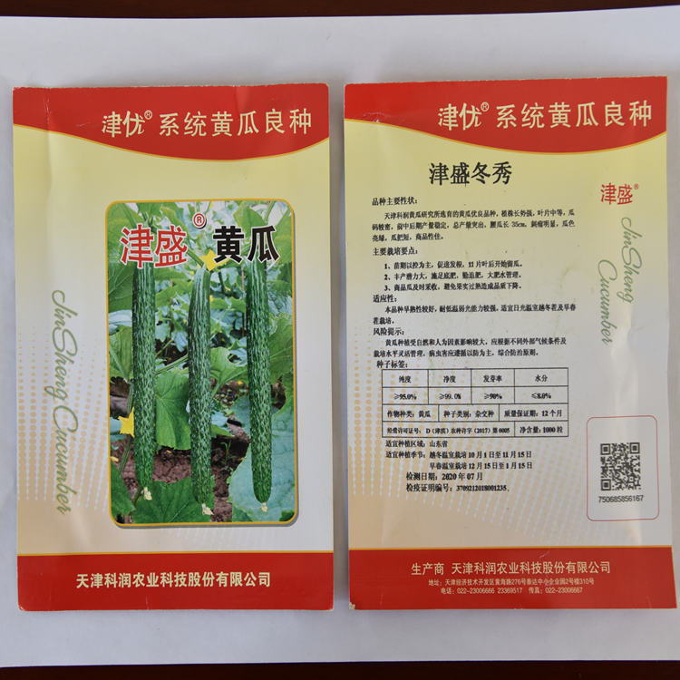 供应短把密刺黄瓜种子 抗死棵小黄瓜种子 寿光黄瓜种植基地批发