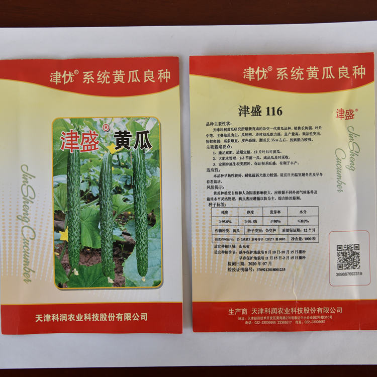 耐热黄瓜种子  秋延种植黄瓜品种津盛116黄瓜种子 耐储运 方便运输
