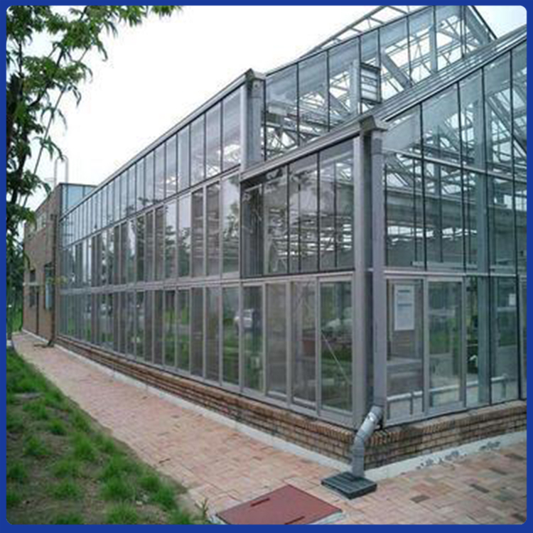 连栋温室价格 龙玺承建多种温室工程 薄膜连栋温室