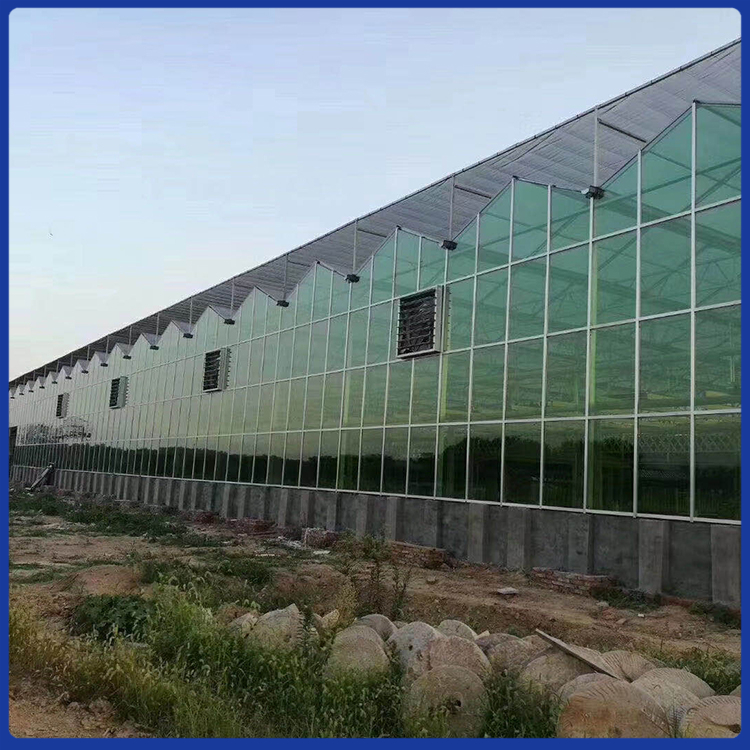 玻璃温室安装 龙玺专注温室工程建设 造型美观玻璃温室