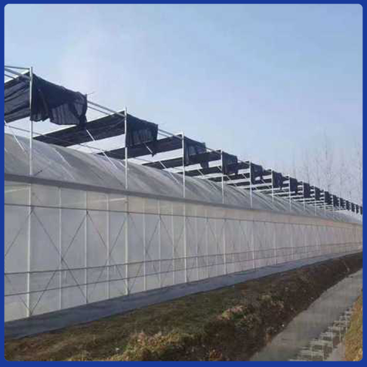 连栋温室大棚工程 热镀锌钢管框架 新型连栋温室