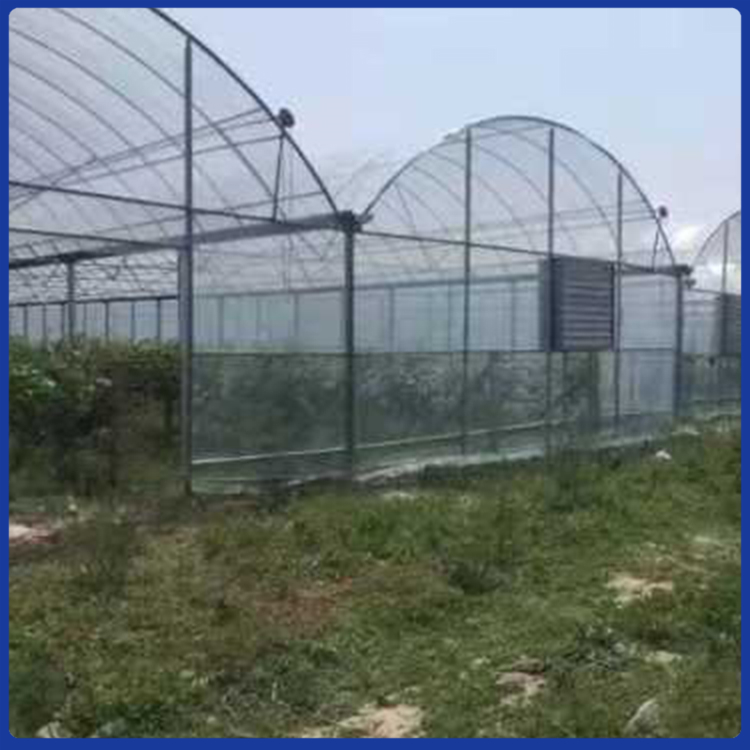 连栋温室大棚 连栋温室工程承建 连栋薄膜温室