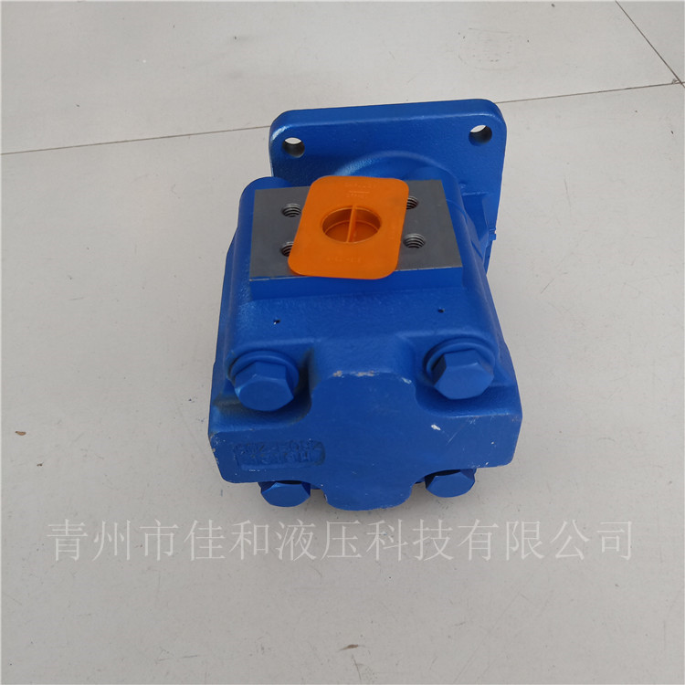 1162011011A   1142003155I  泊姆克 齿轮泵 