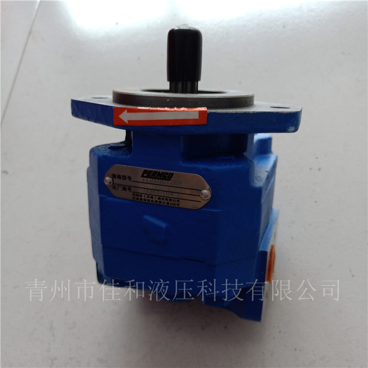  M7600-F100NK767 6G1  1217071088 马达  泊姆克齿轮泵