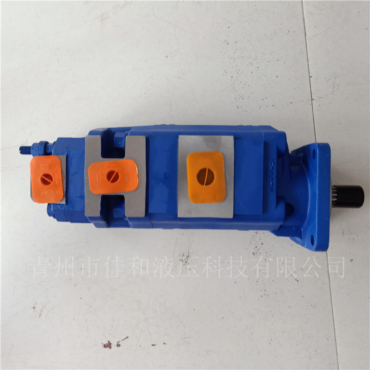 P4800-F50TI3637/F50TIB/F40TIBG  泊姆克三联 齿轮泵         