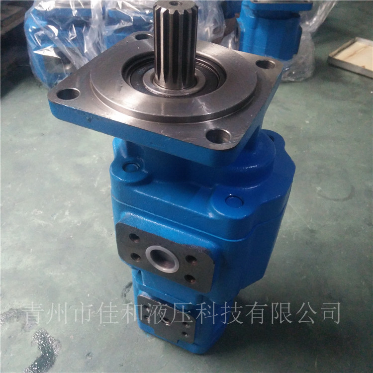 1123132759 泊姆克双联齿轮泵供应-青州佳和液压