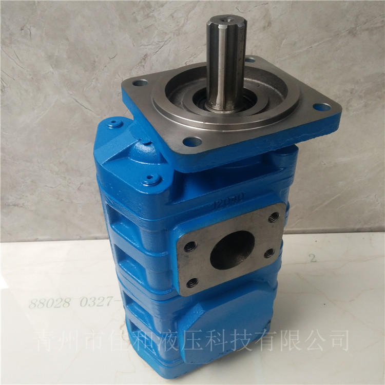 打捆机双联泵供应 CBGJ2100/2100 -1青州佳和液压