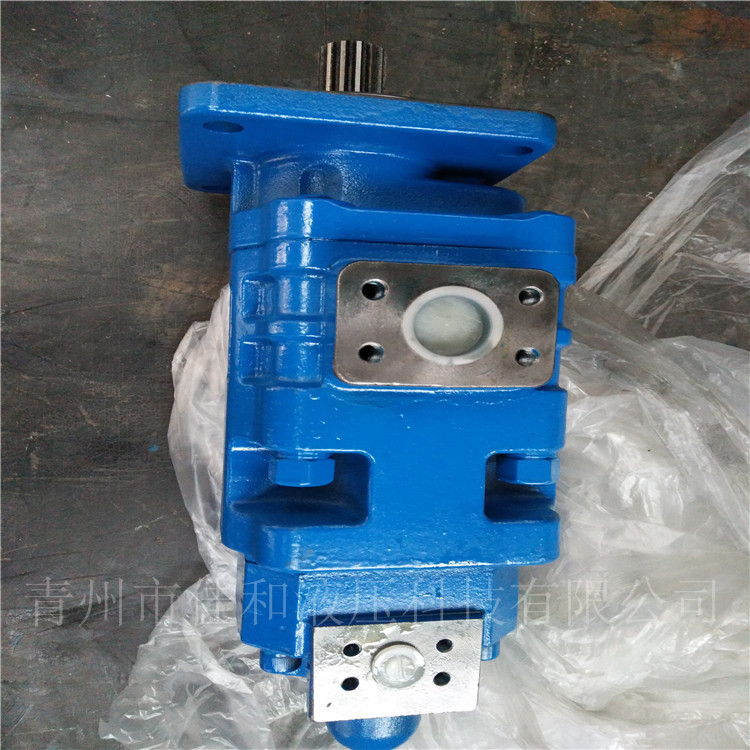 P5100-F63NJ367 6/P124-G10G-1 徐工50G装载机双联泵